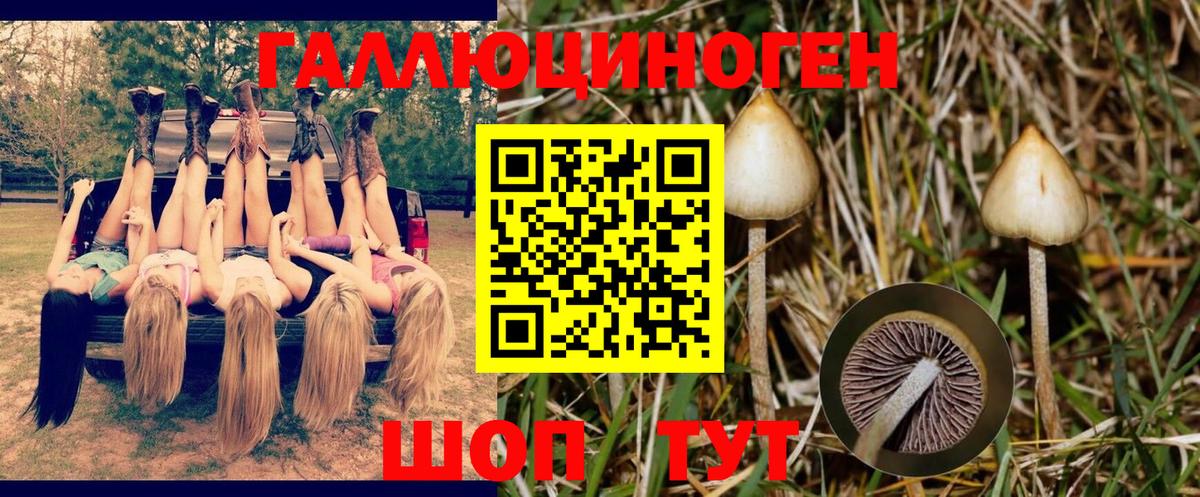 Псилоцибиновые грибы мицелий Грозный