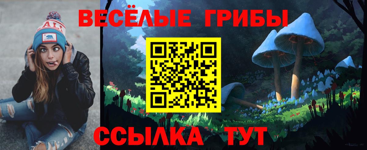 Грозный  Псилоцибиновые грибы Psilocybine cubensis  Псилоцибиновые грибы MAGIC MUSHROOMS  Вход с VPN 